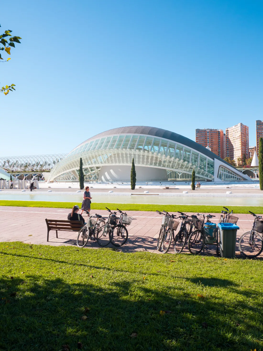 La Ciudad de las Artes y las Ciencias vista desde el césped, con bicicletas aparcadas